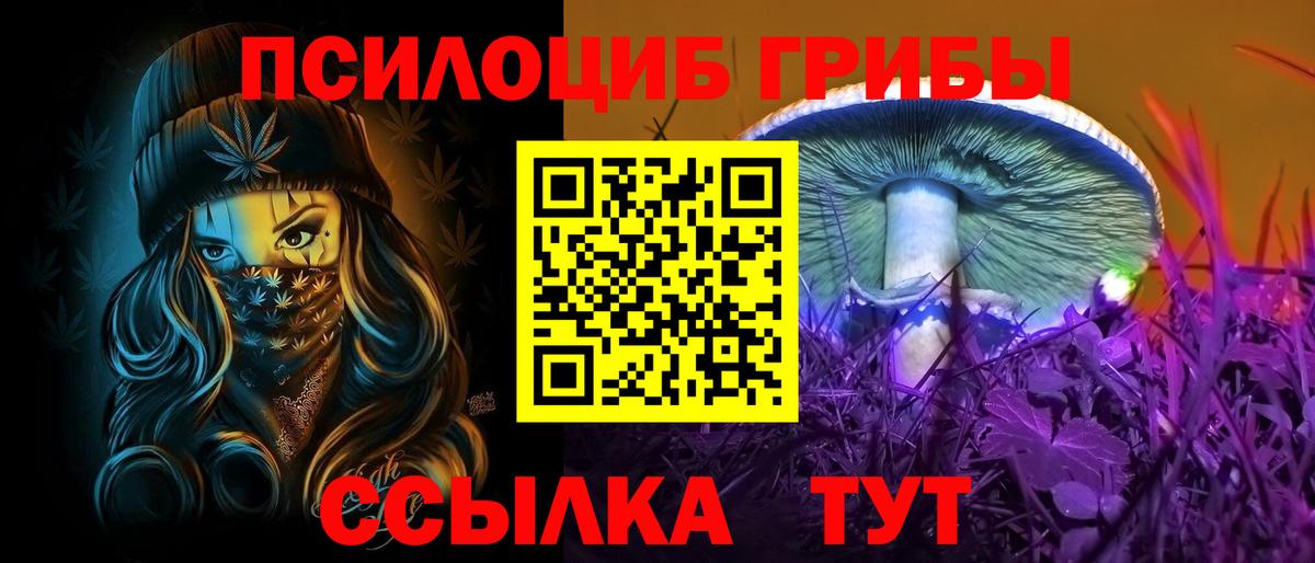 Сосновоборск  Псилоцибиновые грибы прущие грибы  Вход с VPN 